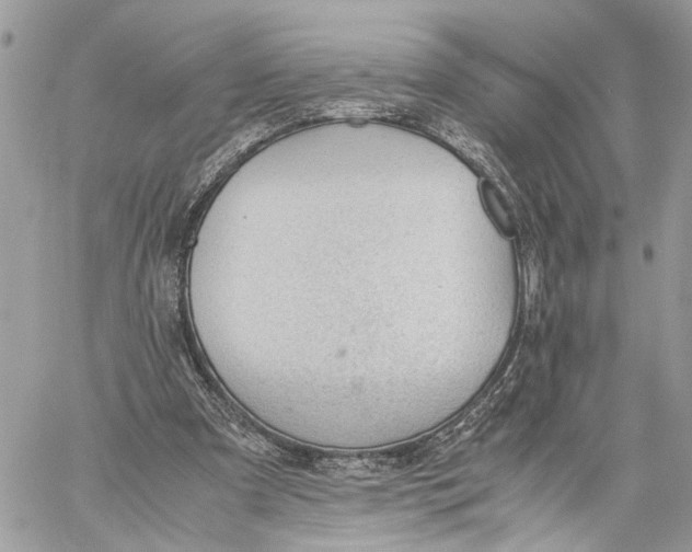 X0000060230297200511181245