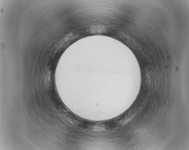 X0000060230308200511181245