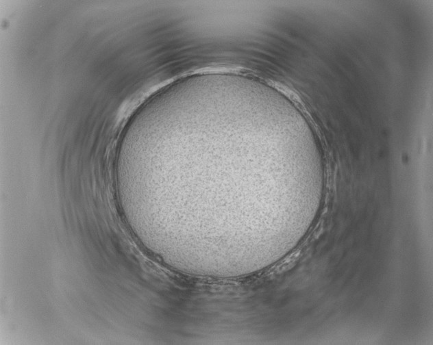 X0000060230337200511181243