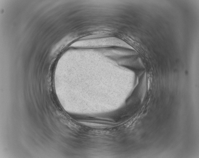 X0000060230339200511181243