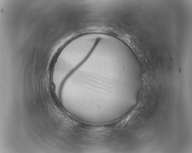 X0000060230342200511181244