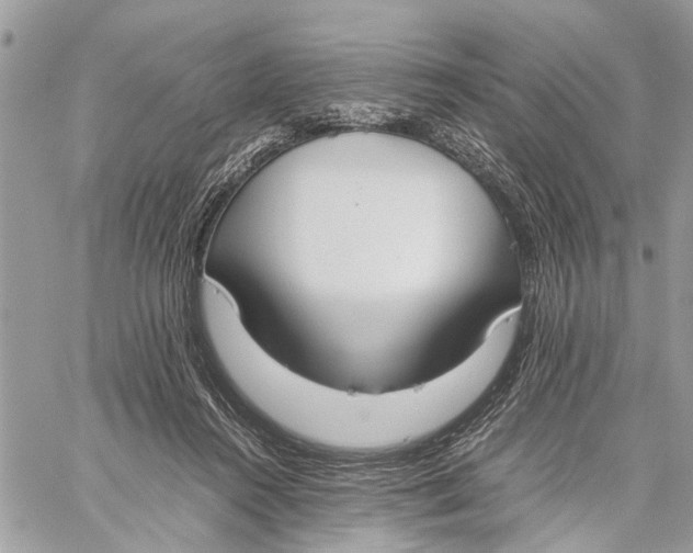 X0000060230360200511181244