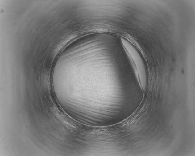 X0000060230386200511181243