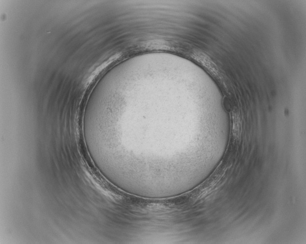 X0000060230390200511181243