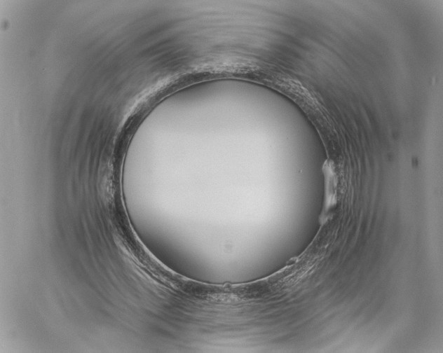 X0000060230392200511181243