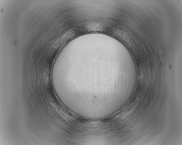 X0000060230402200511181243