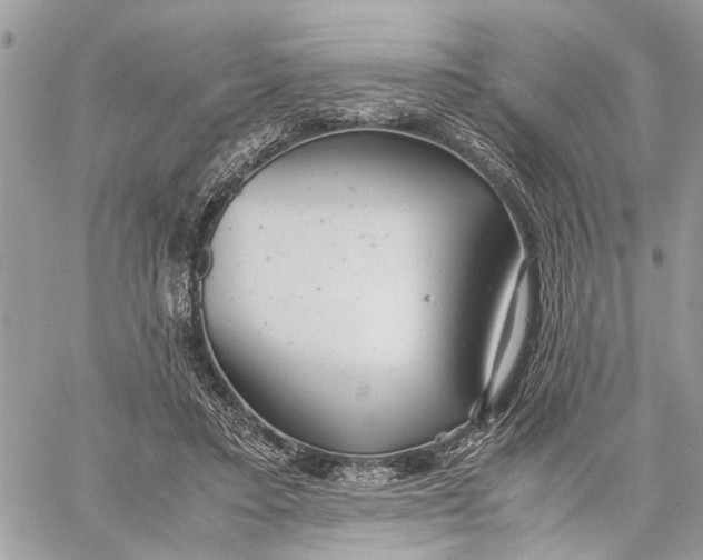 X0000060230403200511181243