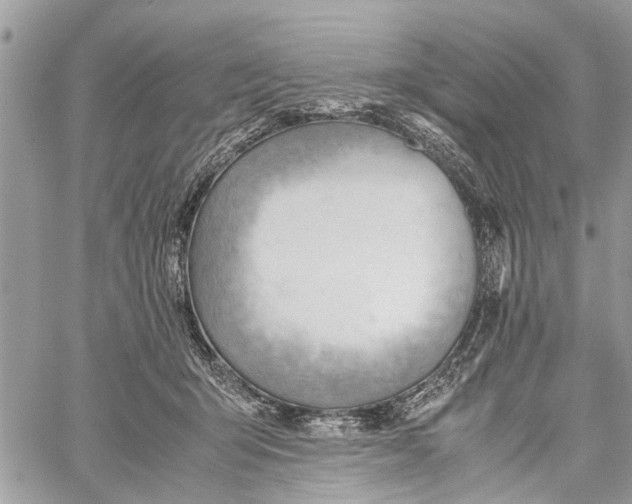 X0000060230415200511181243