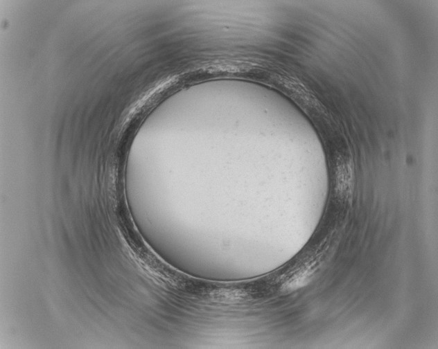 X0000060230444200511181242