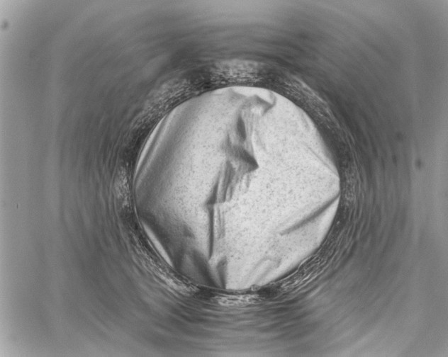 X0000060230465200511181242