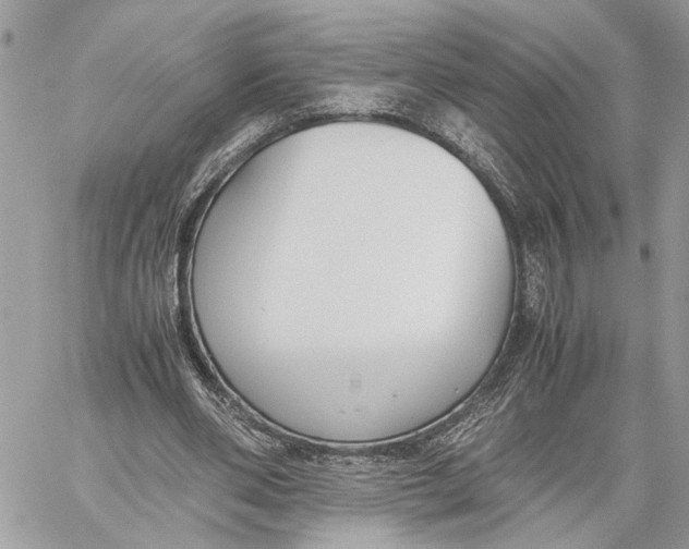 X0000060230486200511181242