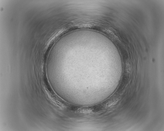 X0000060230491200511181242