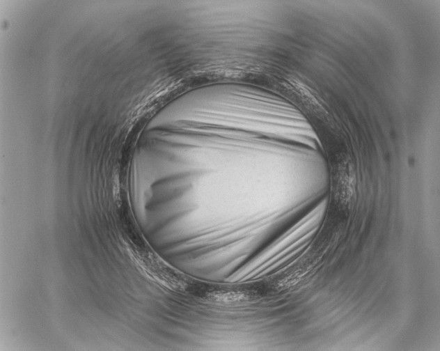 X0000060230500200511181242