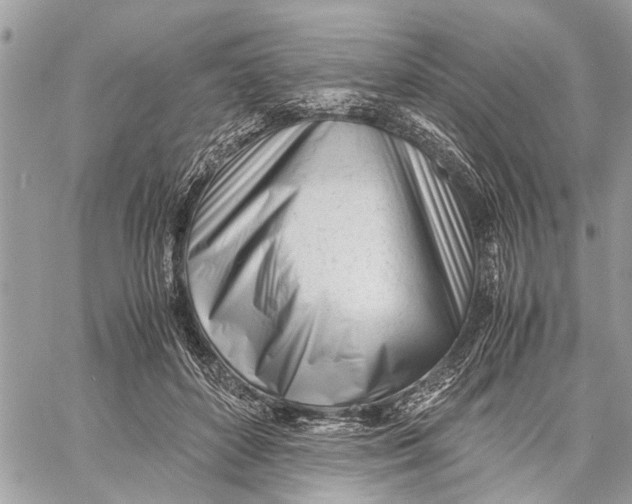 X0000060230504200511181241