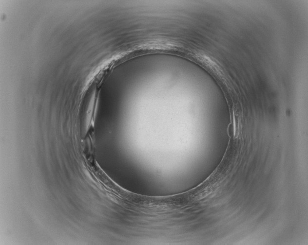 X0000060230531200511181240