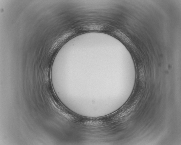 X0000060230537200511181240