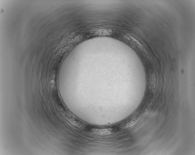X0000060230553200511181241