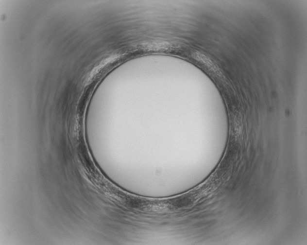 X0000060230583200511181240