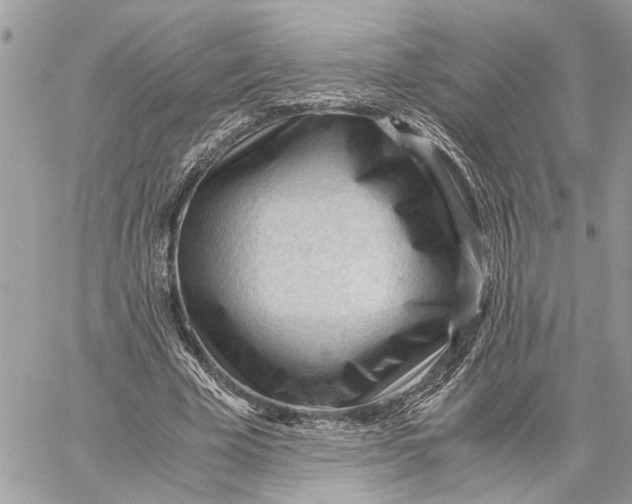 X0000060230585200511181240