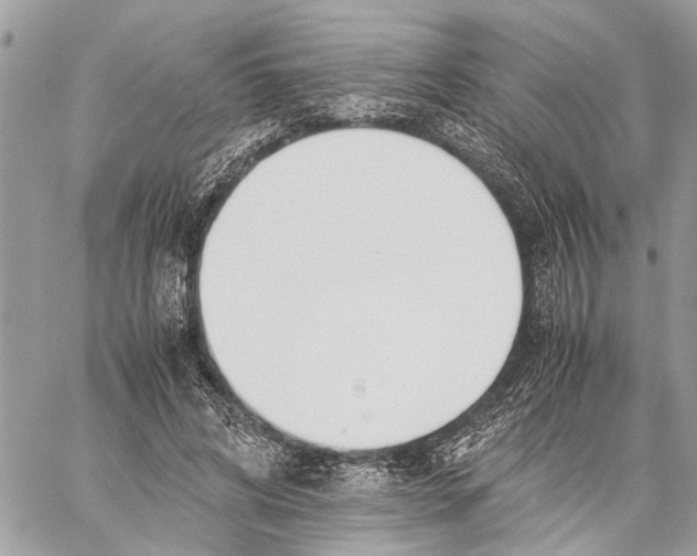 X0000060230592200511181240