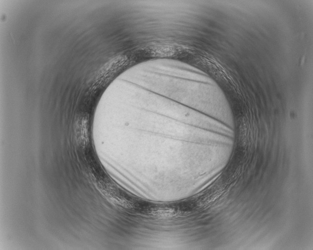 X0000060230598200511181240