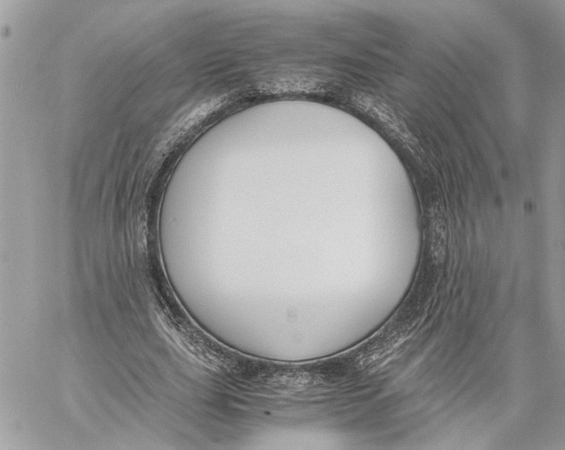 X0000060230631200511181239