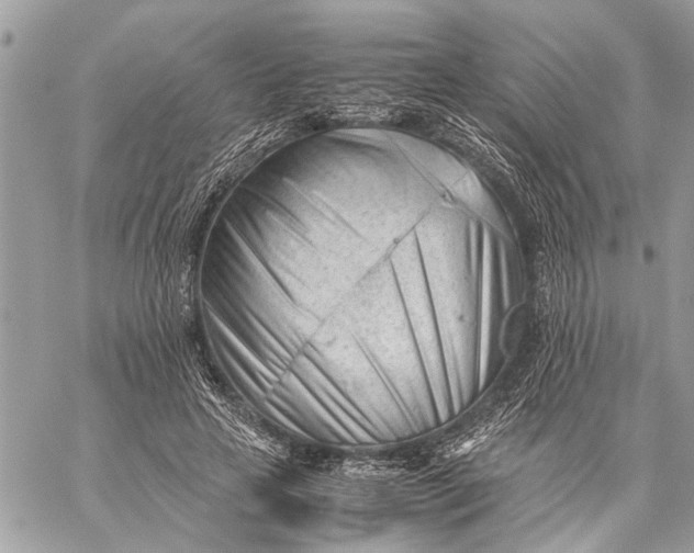 X0000060230641200511181239