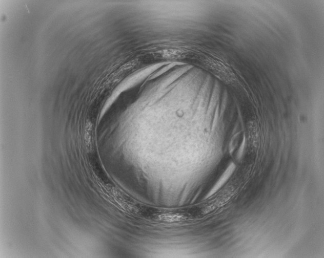 X0000060230650200511181239