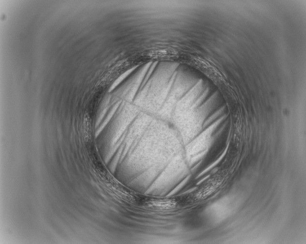 X0000060230659200511181239