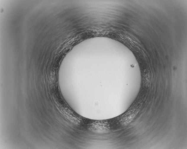 X0000060230756200511181238