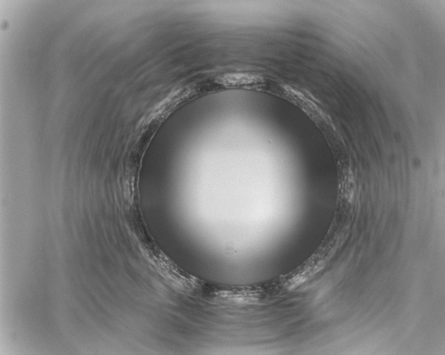 X0000060230763200511181238