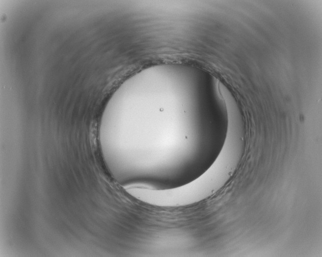 X0000060230768200511181238