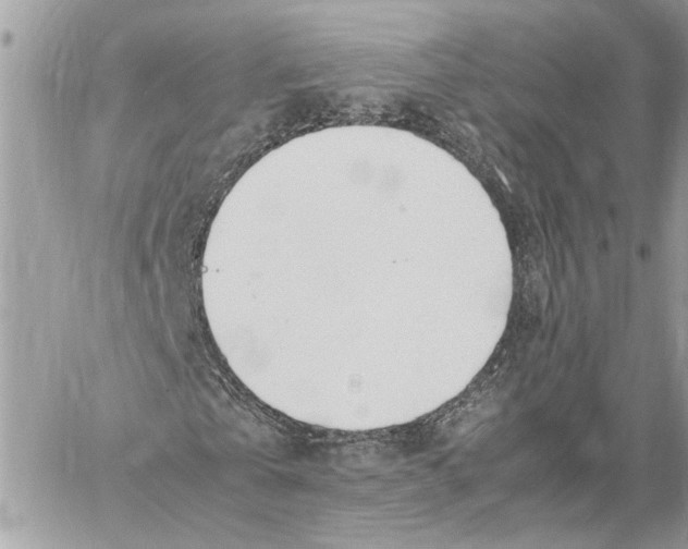 X0000060230769200511181237