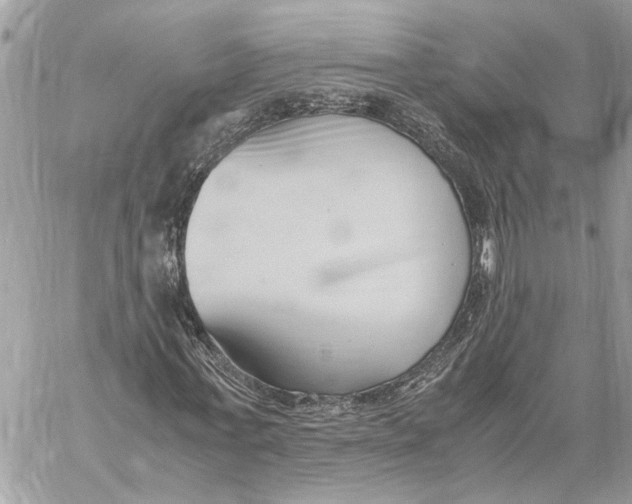 X0000060230771200511181237