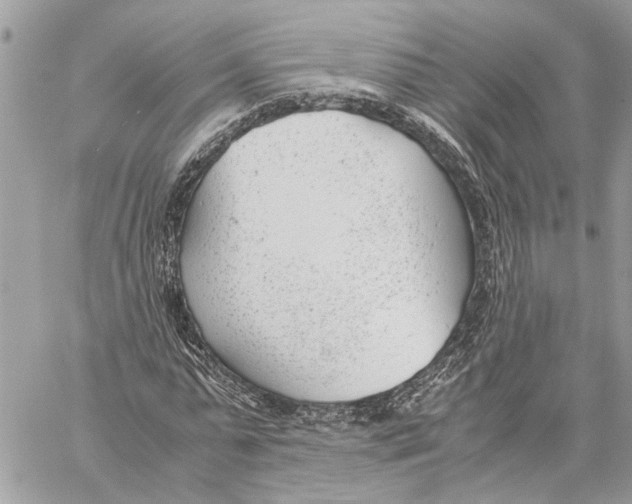 X0000060230775200511181237