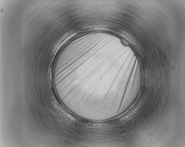 X0000060230790200511181237