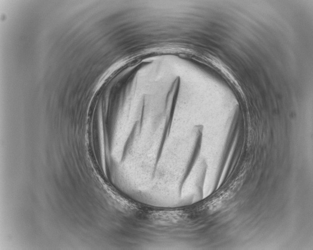 X0000060230853200511181236