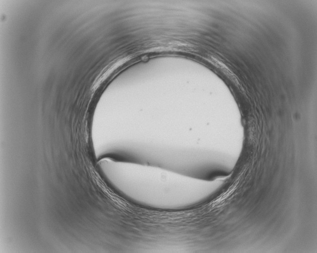 X0000060230885200511181235