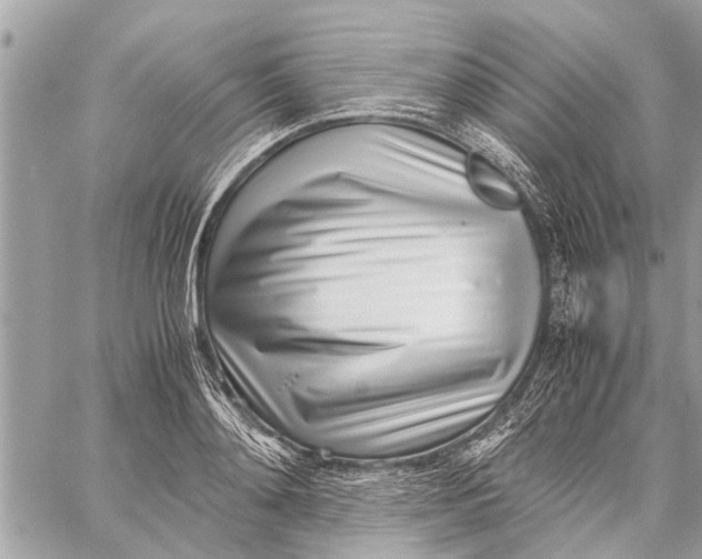 X0000060230892200511181235