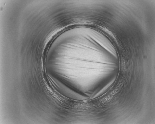 X0000060230935200511181234