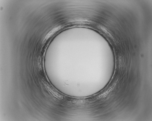 X0000060230970200511181234