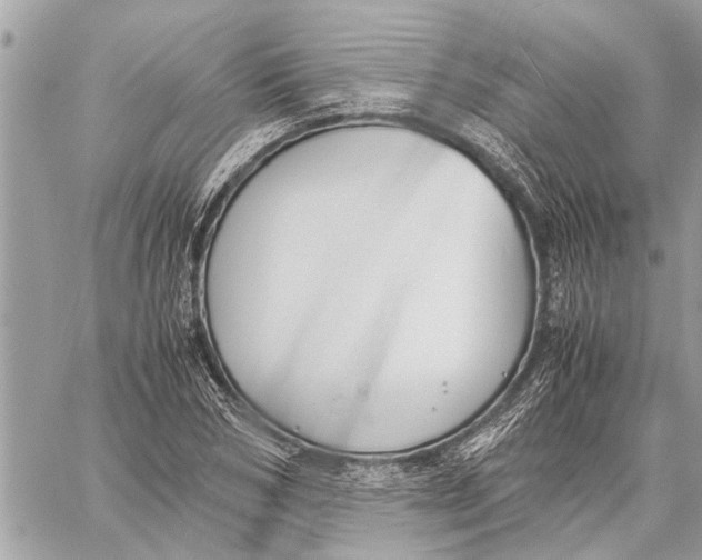 X0000060230978200511181234