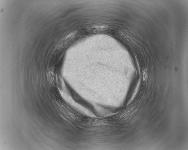 X0000060231011200511181232