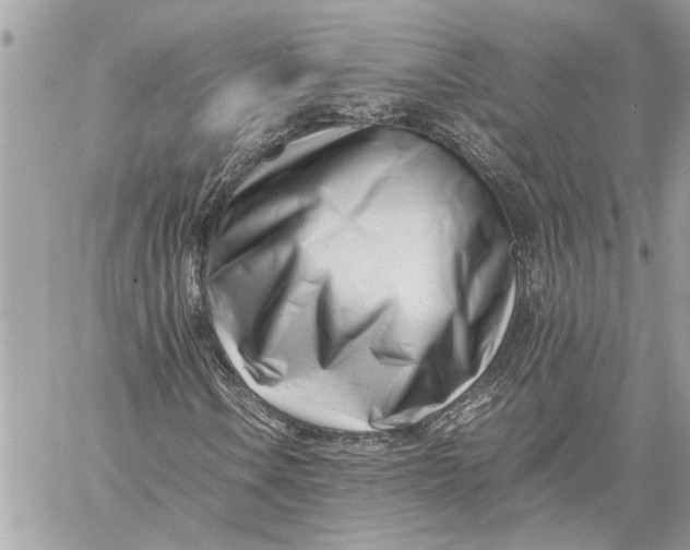X0000060231106200511181231