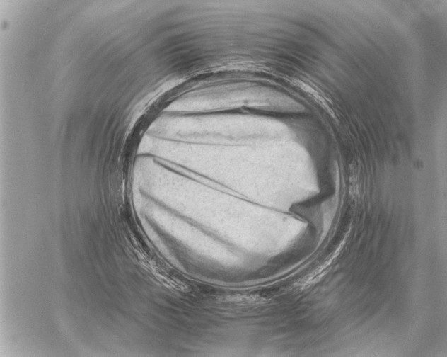 X0000060231117200511181231