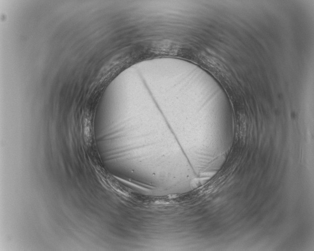 X0000060231154200511181231