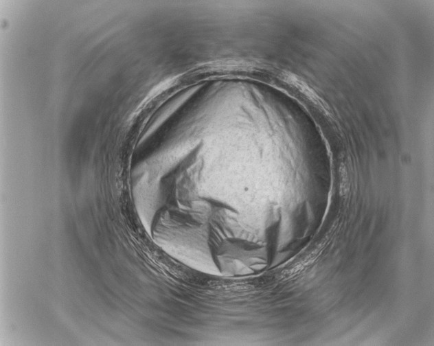X0000060231213200511181229