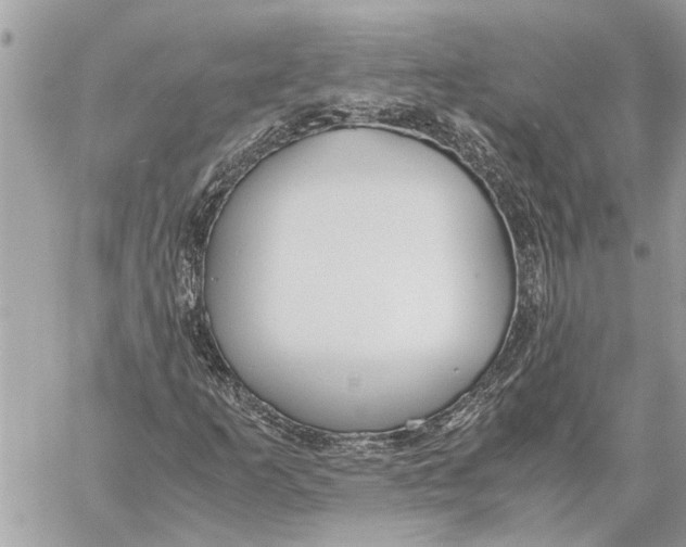 X0000060231253200511181229