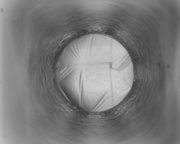 X0000060231297200511181228