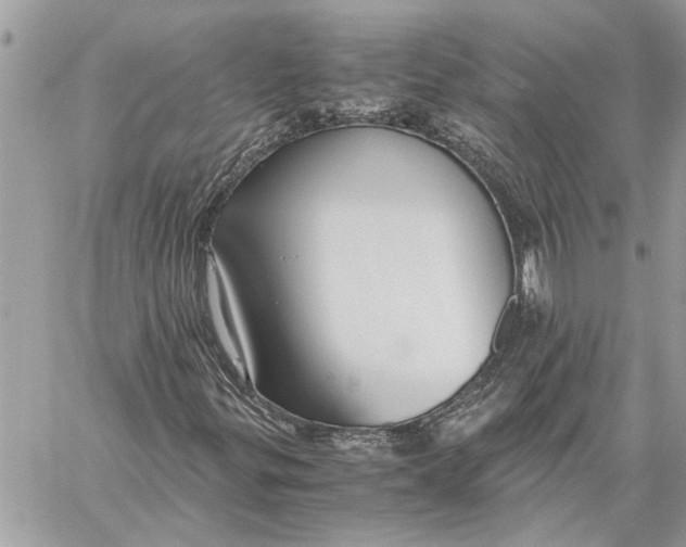 X0000060231299200511181228